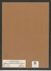 Coscinodiscus biharensis Pant. (de-Toni-Nr.: Genus 202, Species 5123) Zeichnungen Sammlung Grunow Mappe 04894 (Herbarium_W_Grunow_drawings_Folder_04894)